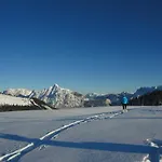 Ronacher Lägenhet Abtenau