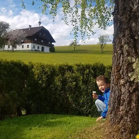 Ronacher Lägenhet Abtenau