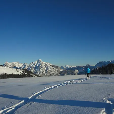 Ronacher Lägenhet Abtenau