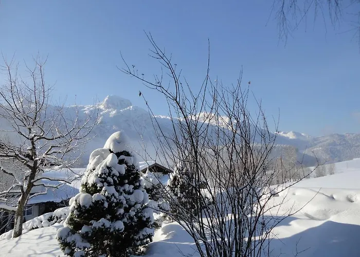 Ronacher Appartement