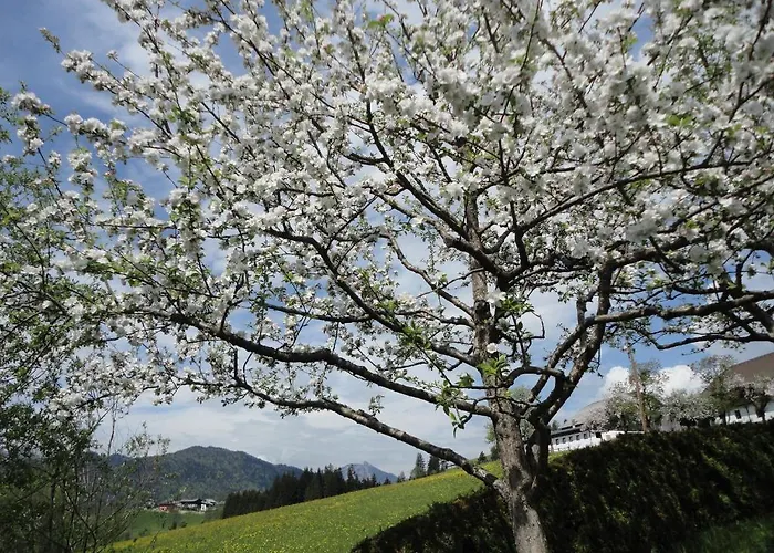 Ronacher Appartement Abtenau