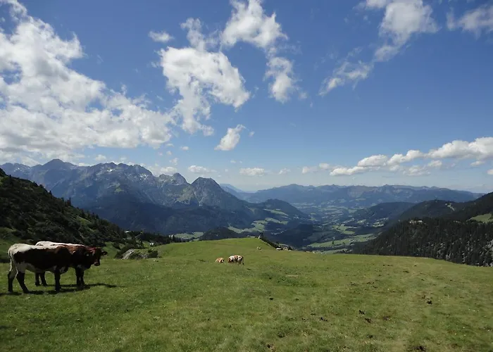 Ronacher Appartement *