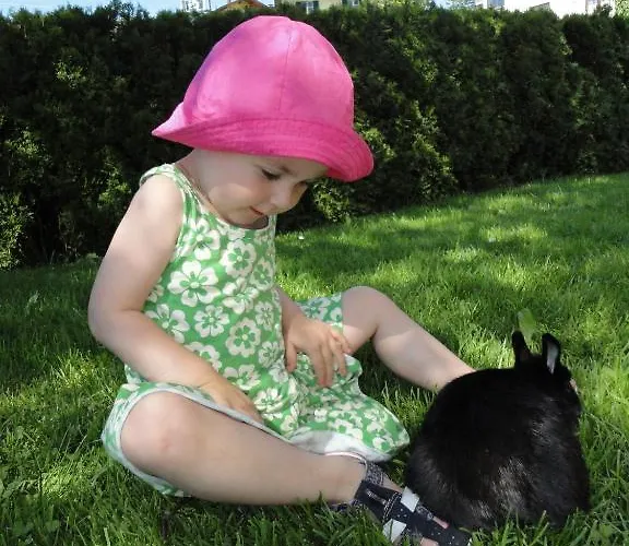 Appartement Ronacher Abtenau