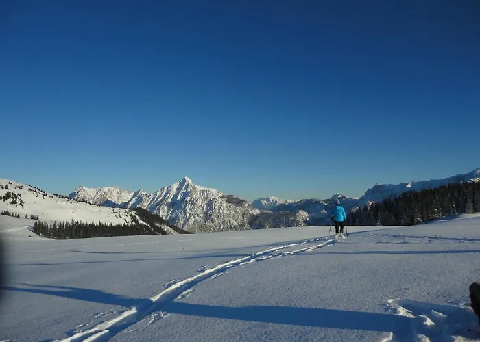 Ronacher Appartement Abtenau
