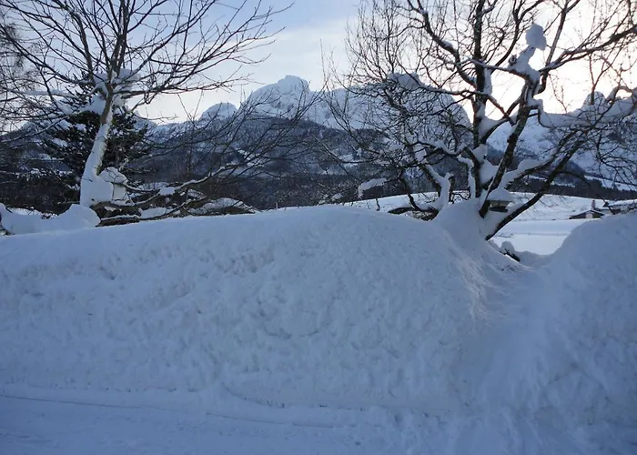 Appartement Ronacher Abtenau